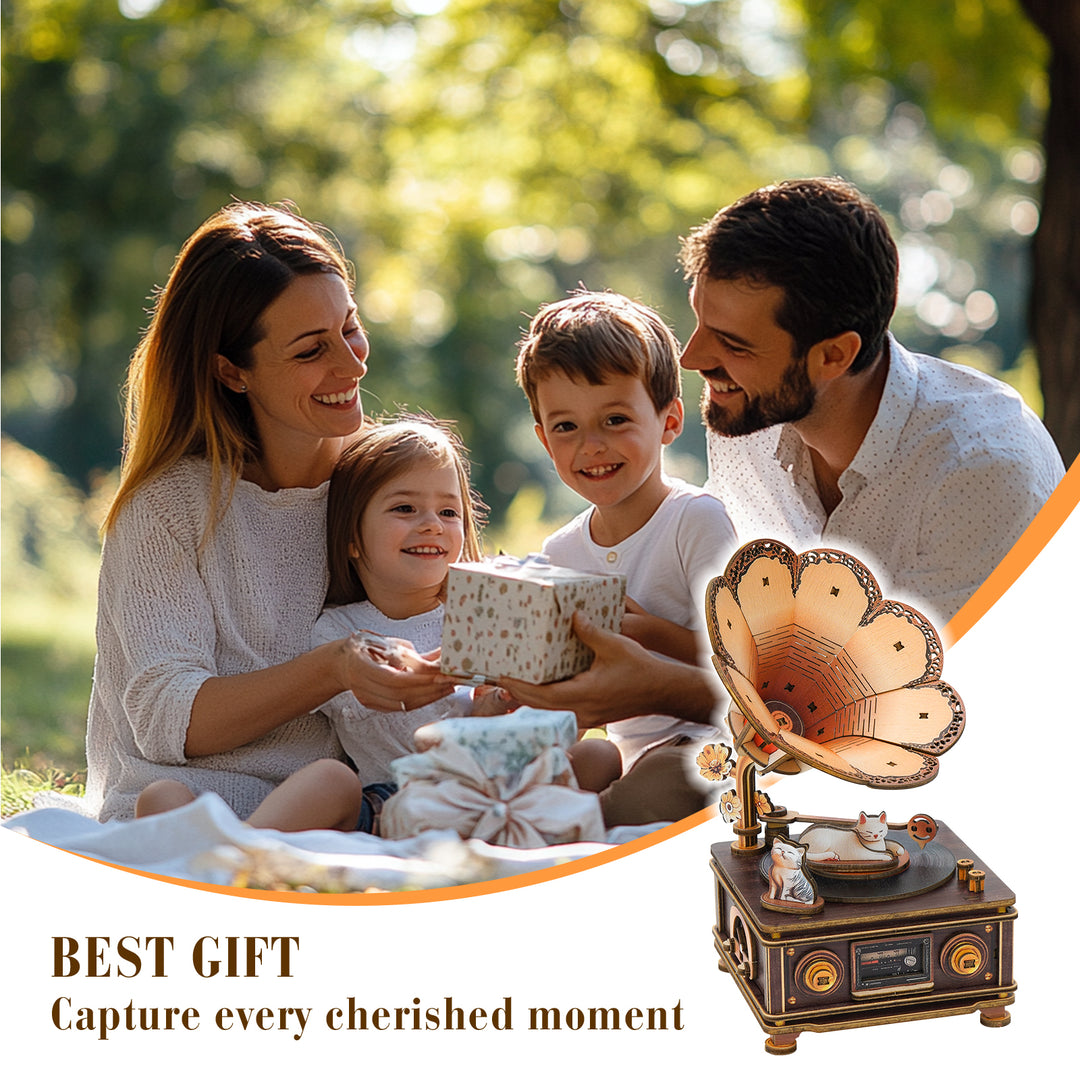 Bygone Days and the Cat Mechanical DlY Kit, 3D Wooden Music Box