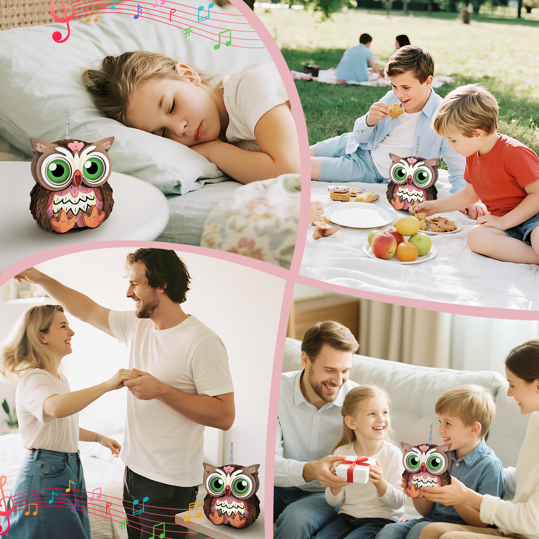 Baby Owl 3D Bluetooth Radio Speaker, STEM Wooden Puzzle Kit